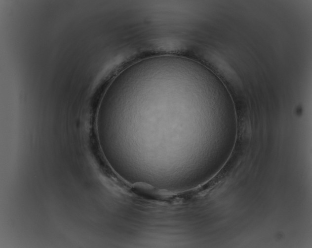 X0000093510736200710191310