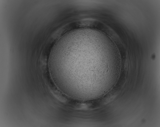 X0000093510737200710191310