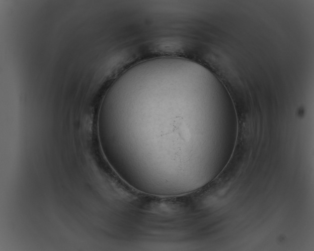 X0000093510739200710191310