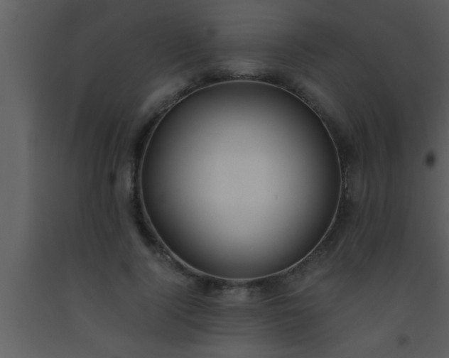 X0000093510740200710191310
