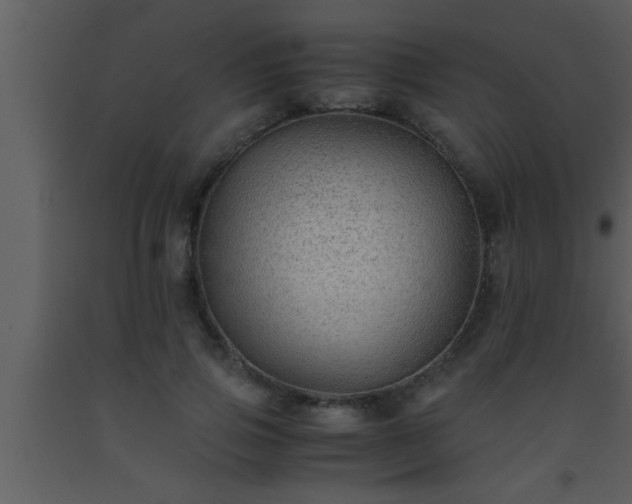 X0000093510741200710191310