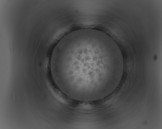 X0000093510742200710191310