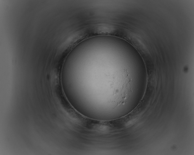 X0000093510743200710191310