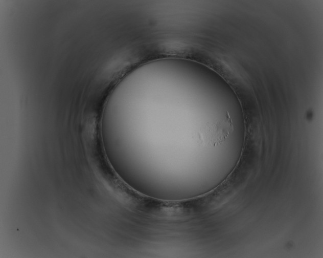 X0000093510744200710191310
