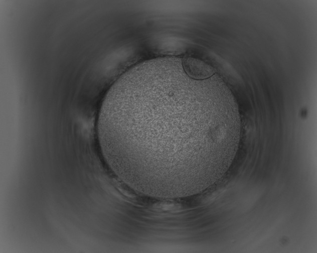 X0000093510745200710191310