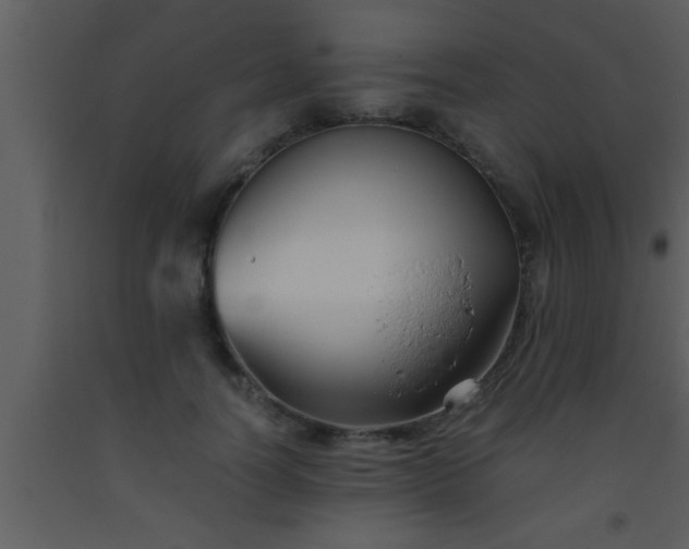 X0000093510746200710191310
