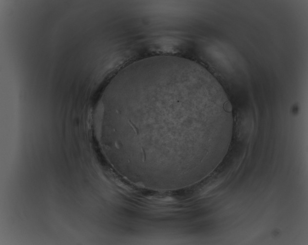 X0000093510747200710191310
