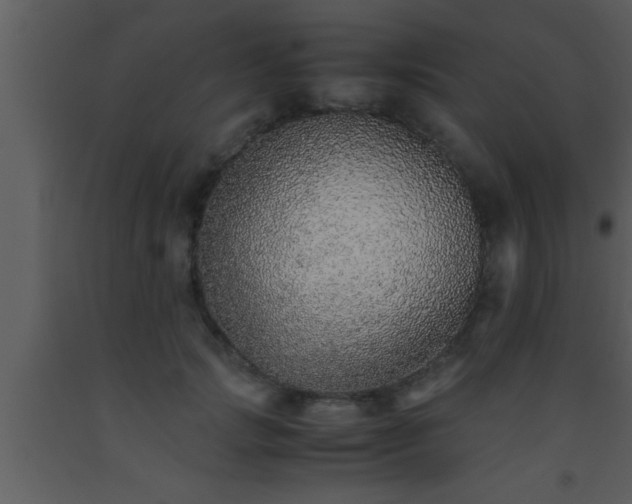 X0000093510749200710191310