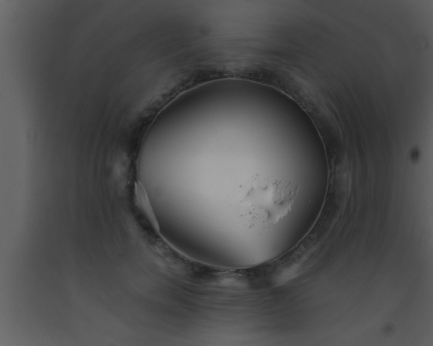 X0000093510750200710191310