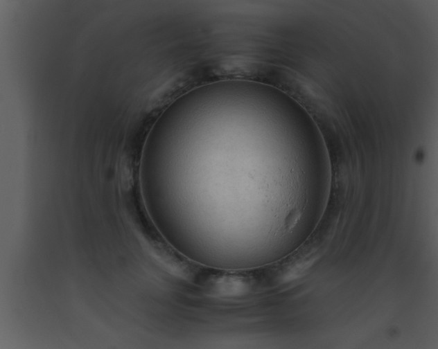 X0000093510751200710191310