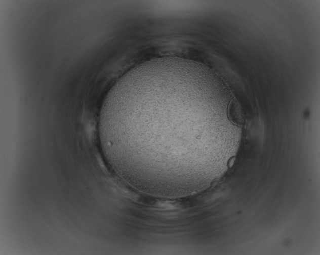 X0000093510753200710191310