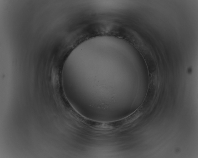 X0000093510754200710191310