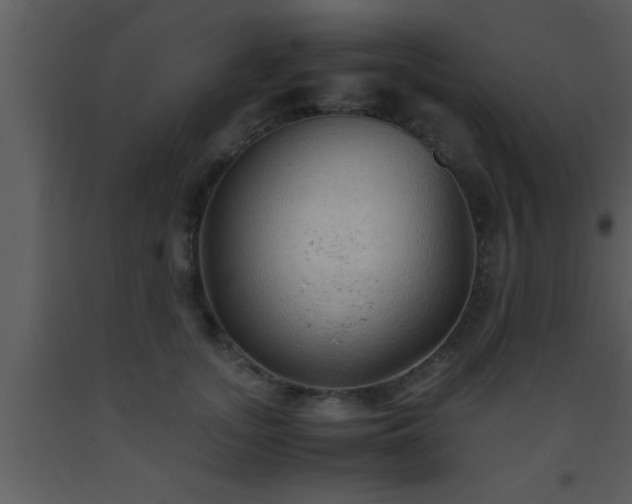 X0000093510755200710191310