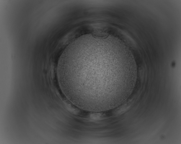 X0000093510757200710191310