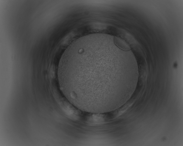X0000093510758200710191310