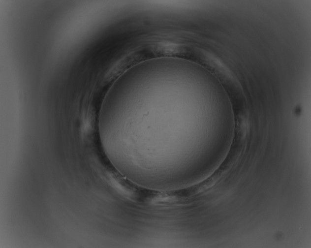 X0000093510760200710191310