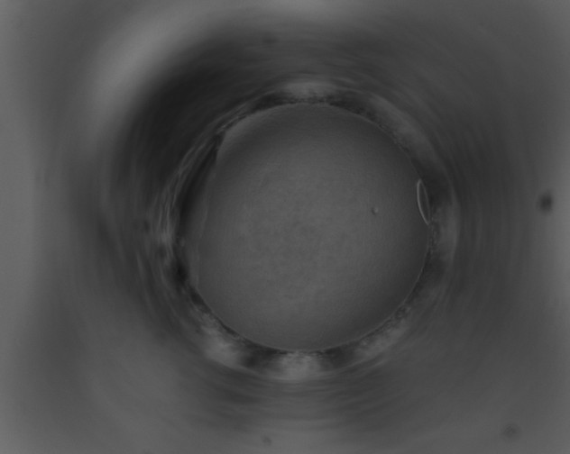 X0000093510762200710191310