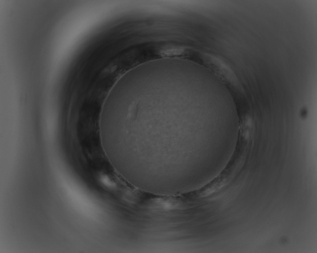 X0000093510763200710191310