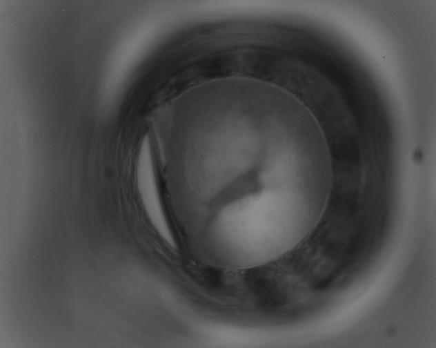 X0000093510766200710191310