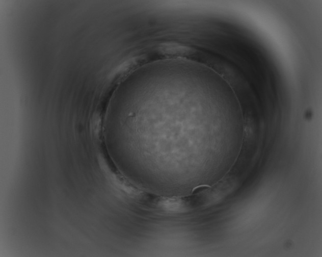X0000093510767200710191310