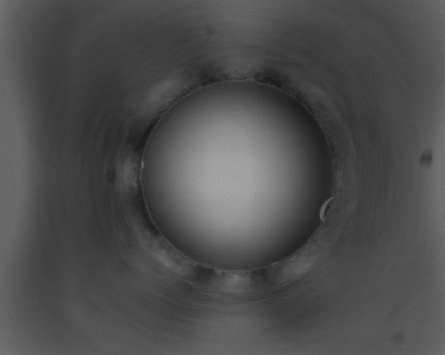 X0000093510768200710191310