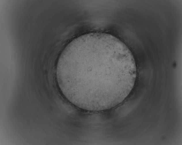 X0000093510769200710191310