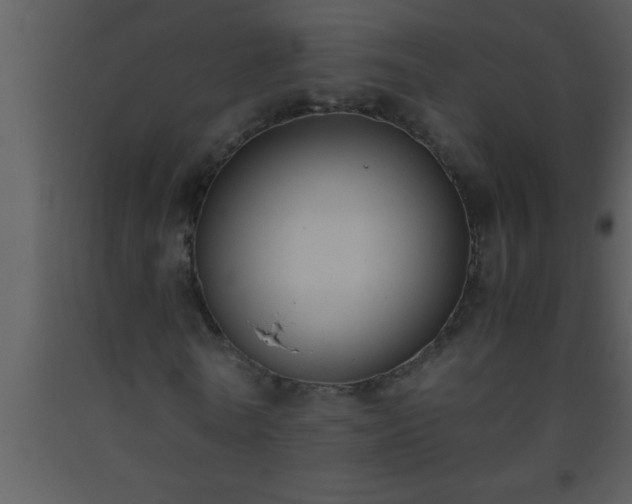 X0000093510770200710191310