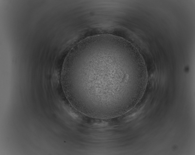 X0000093510772200710191310