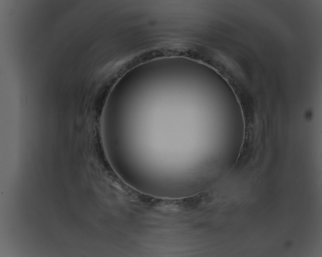 X0000093510773200710191310