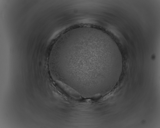 X0000093510775200710191310