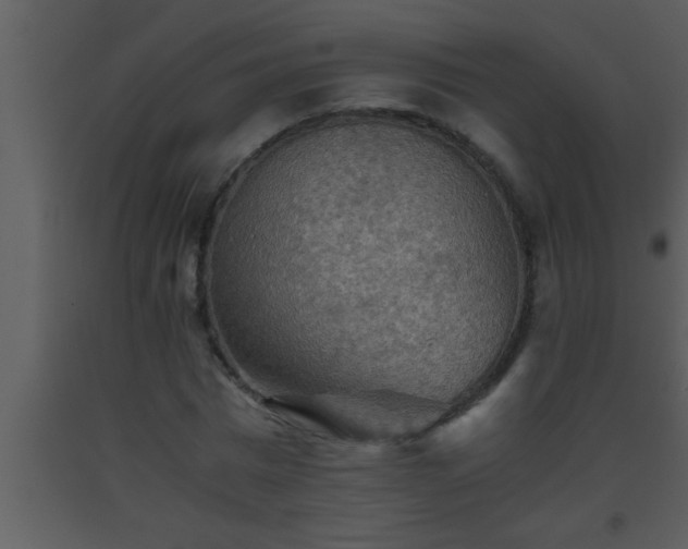 X0000093510777200710191310