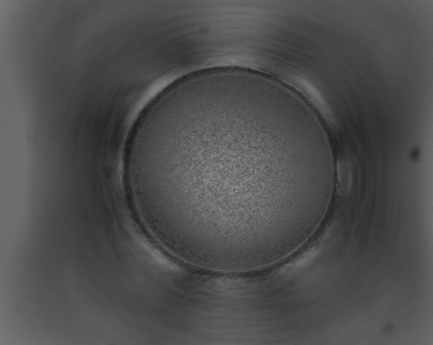 X0000093510780200710191310