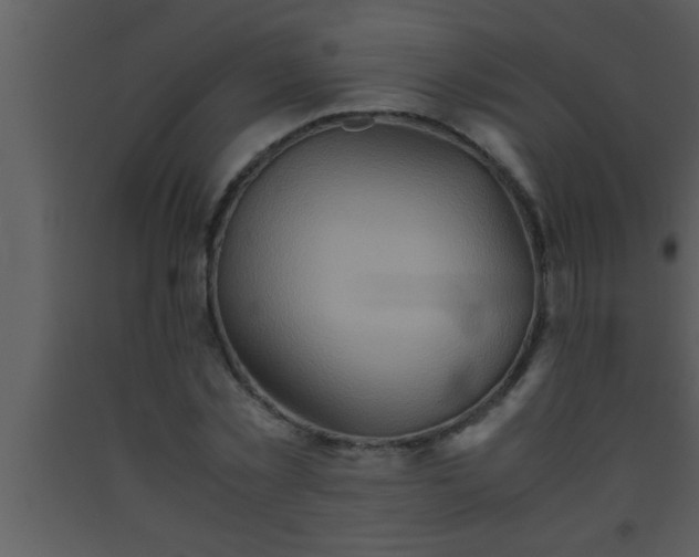 X0000093510781200710191310