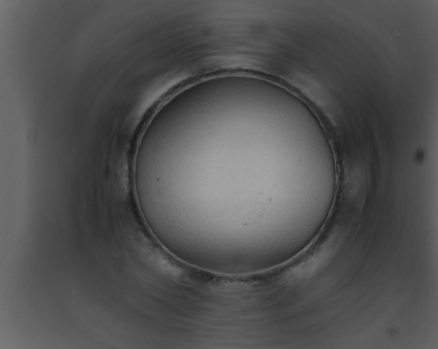 X0000093510782200710191310