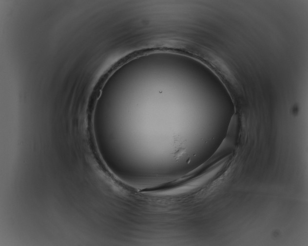 X0000093510784200710191310