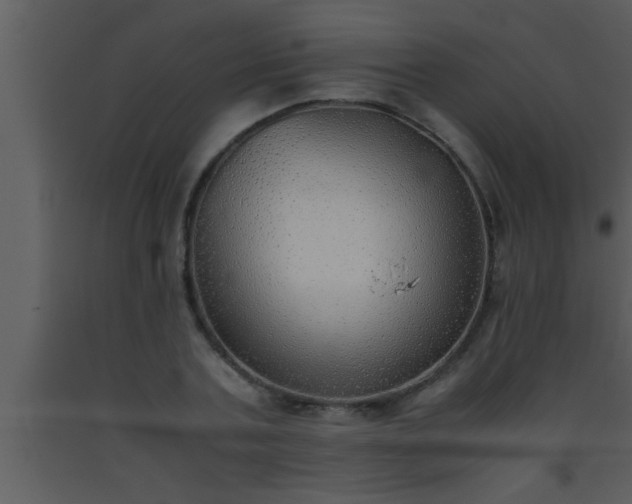 X0000093510787200710191309