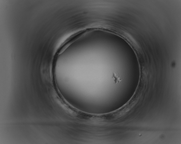 X0000093510788200710191309