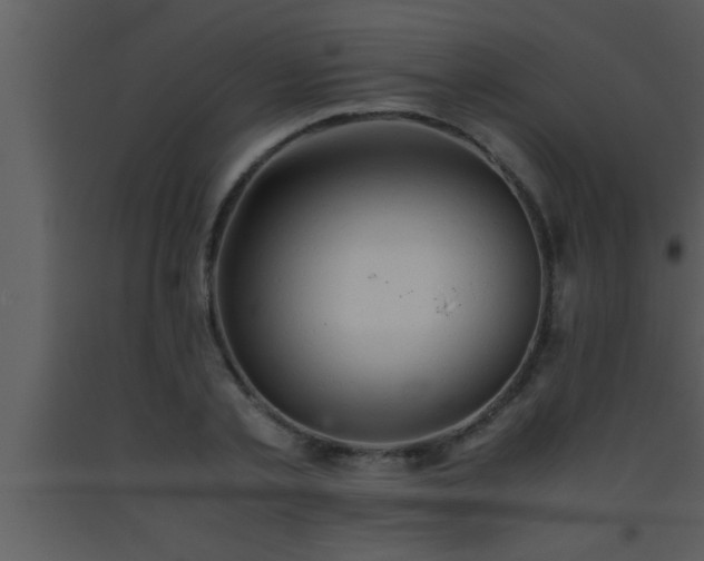 X0000093510789200710191309