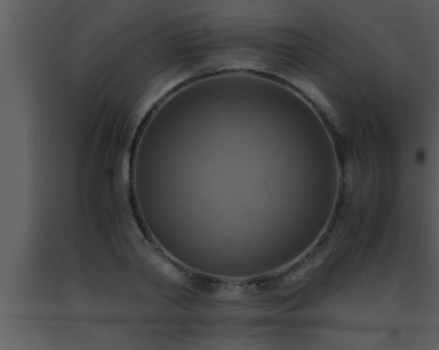 X0000093510790200710191309
