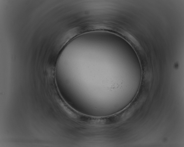 X0000093510793200710191309