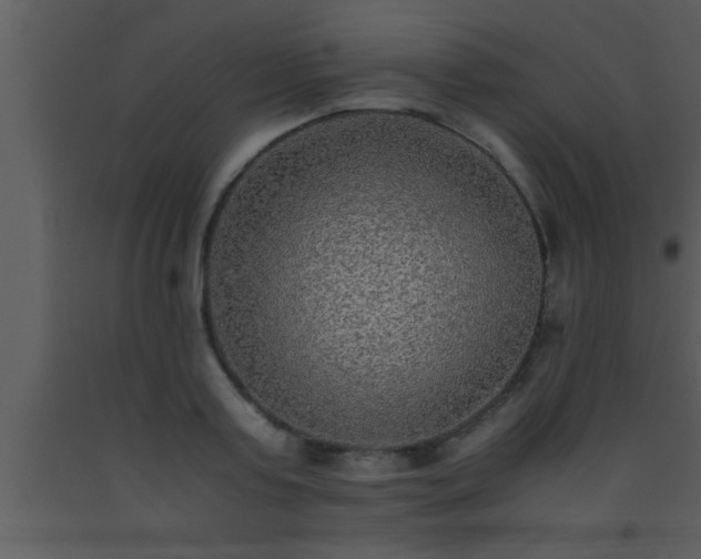 X0000093510795200710191309