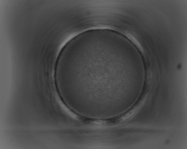 X0000093510797200710191309