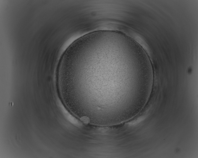 X0000093510803200710191309