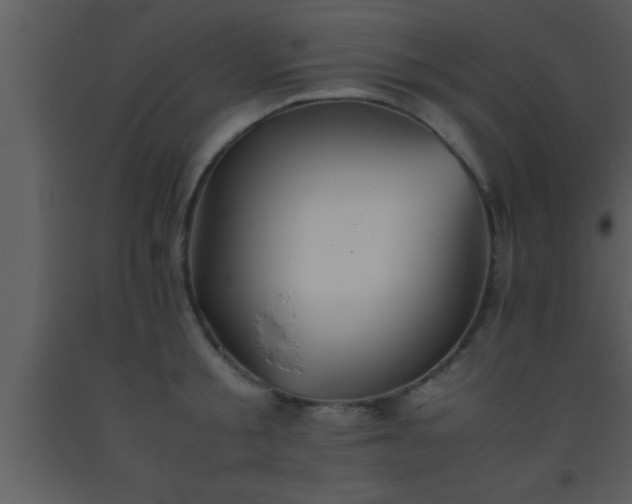 X0000093510805200710191309