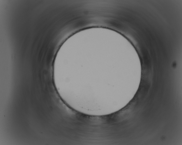 X0000093510807200710191309