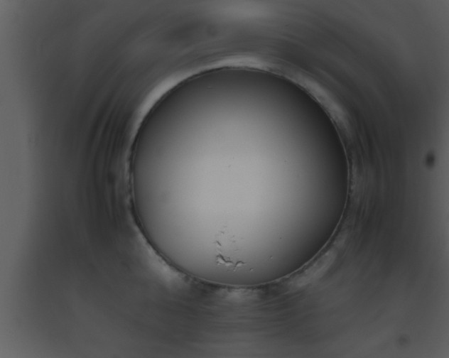X0000093510808200710191309