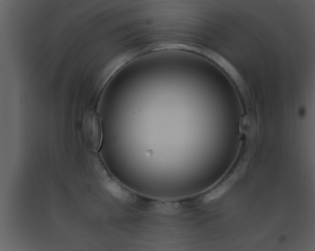 X0000093510809200710191309