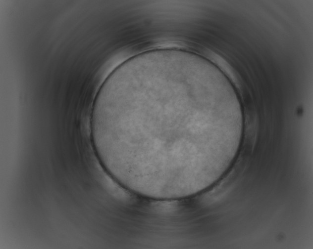 X0000093510810200710191309