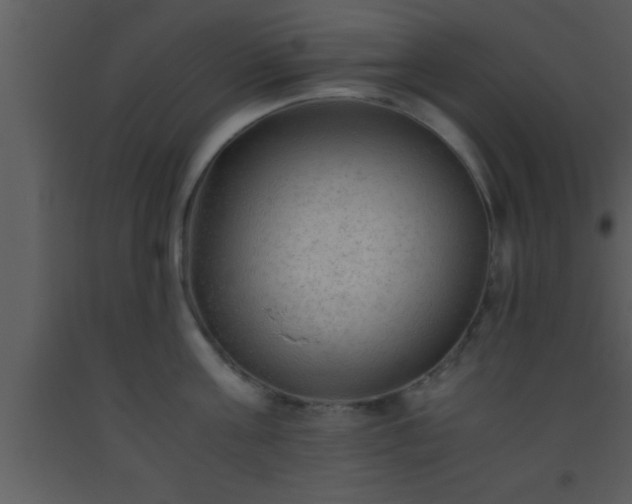 X0000093510811200710191309