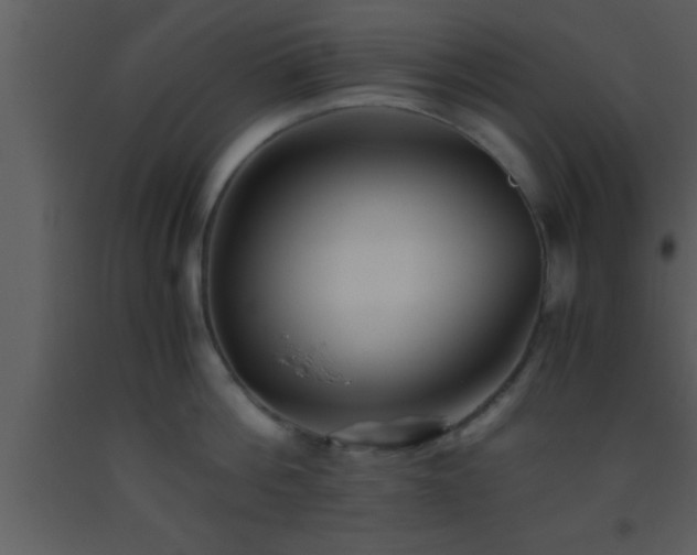 X0000093510812200710191309
